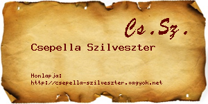 Csepella Szilveszter névjegykártya